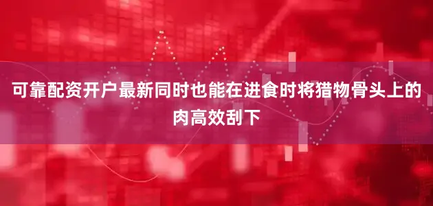 可靠配资开户最新同时也能在进食时将猎物骨头上的肉高效刮下
