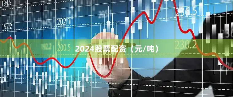 2024股票配资（元/吨）